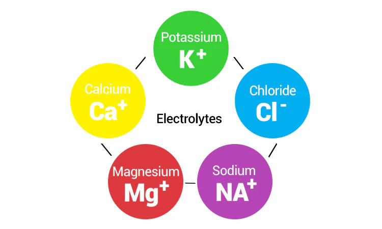 vitamin graphic